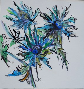 ca035-clare-arbuthnott-sea-holly-thistle