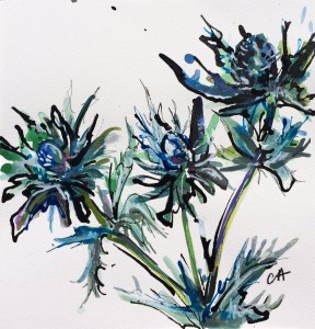 sea-holly-ca046