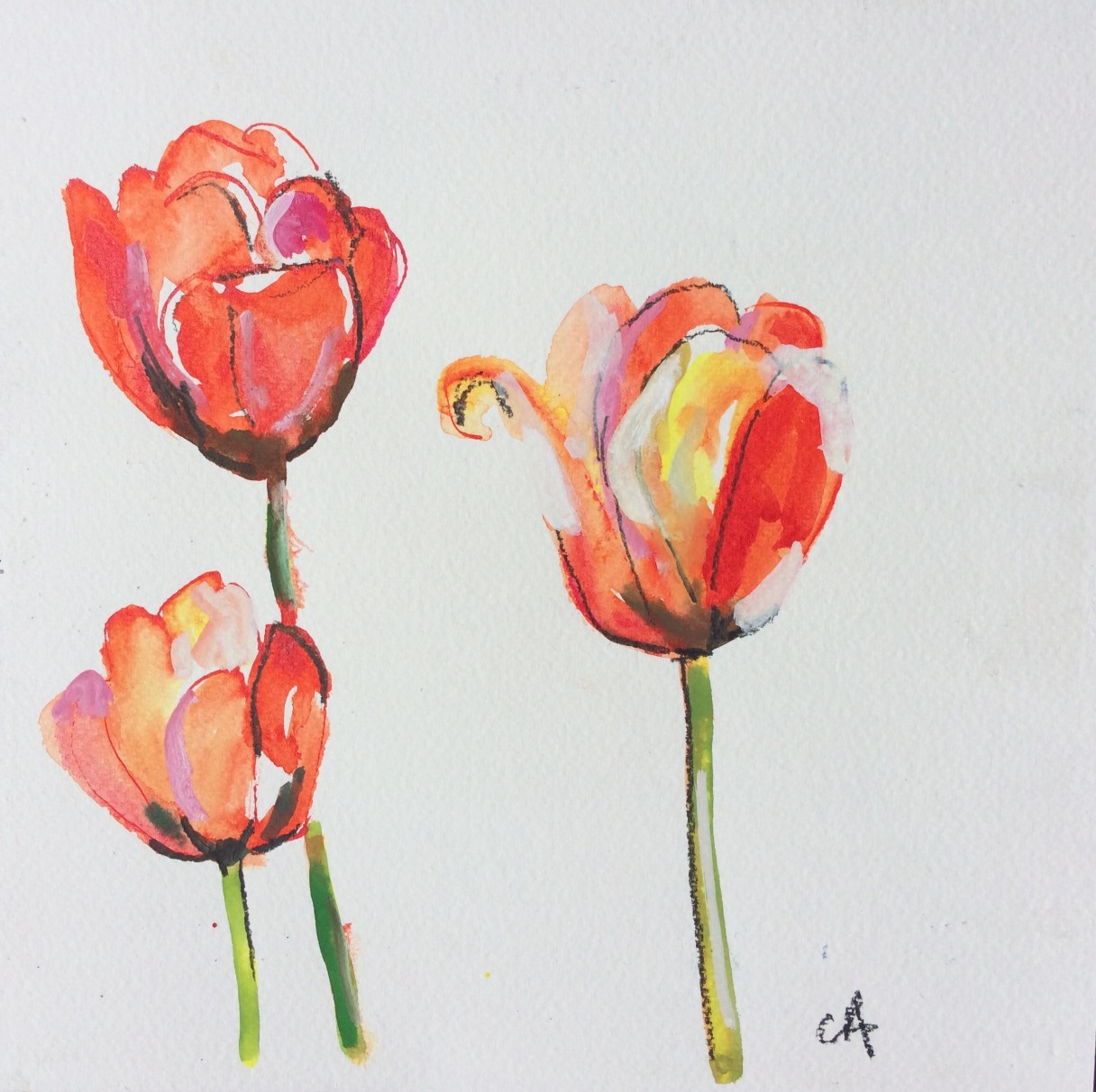 CA063 Clare Arbuthnott 'ThreeTulips'