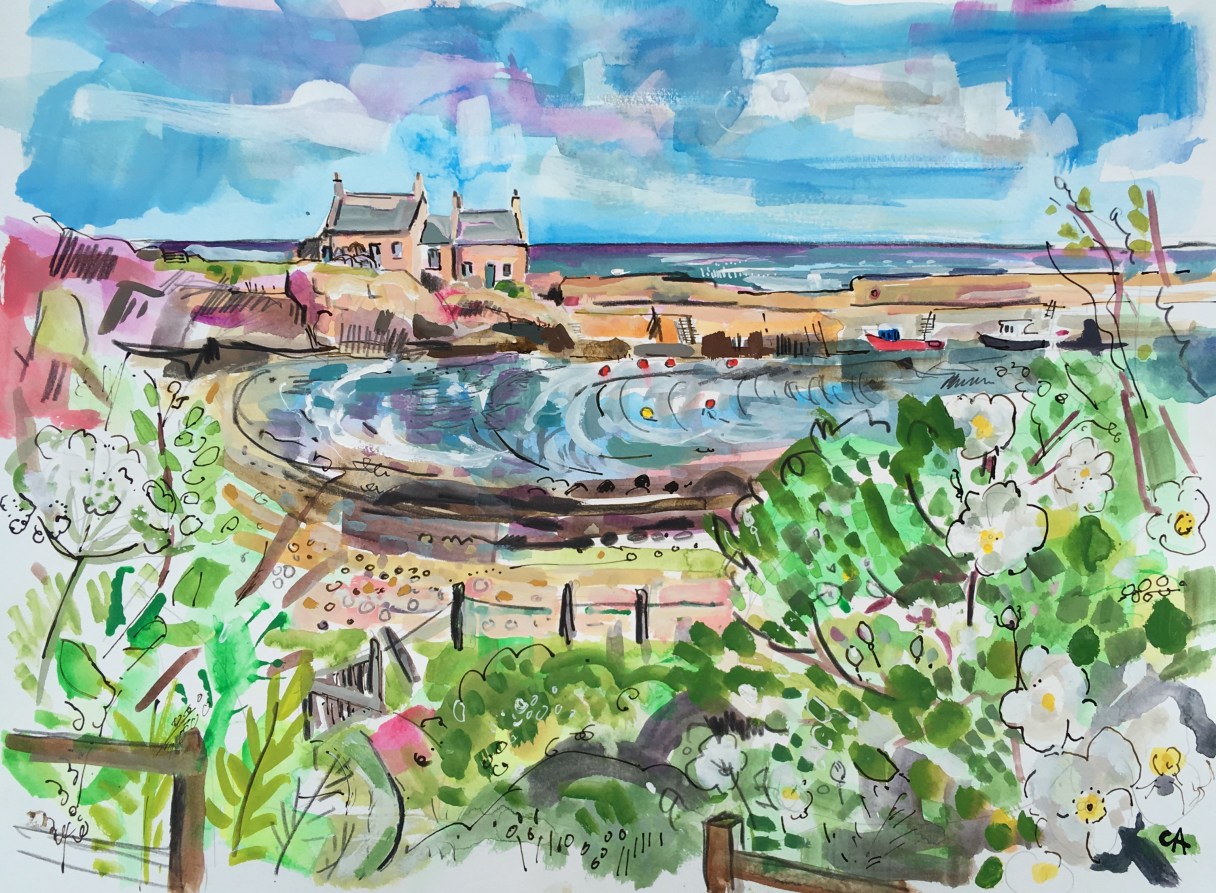 June Roses, harbour 3