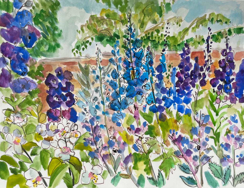 Delphiniums by Wall