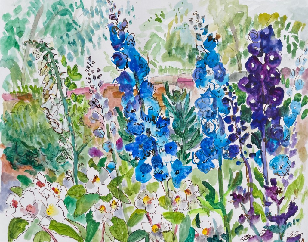 Delphinium and Foxglove